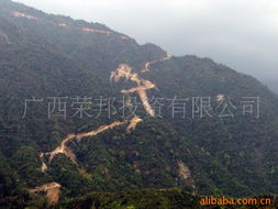 廣西榮邦投資有限公司 重有色金屬礦產產品列表與市場前景