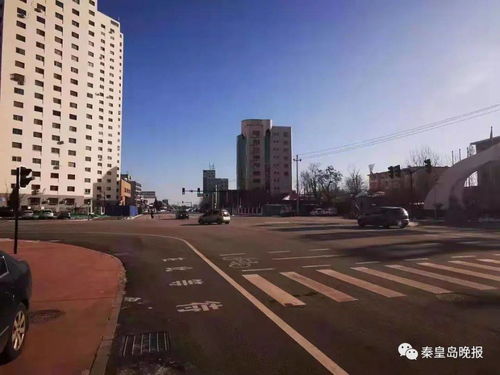 海濱路東西延伸工程二標段明日通車，區域交通網絡再添動脈